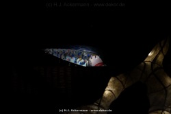 fotografie-21