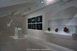 fotografie-32