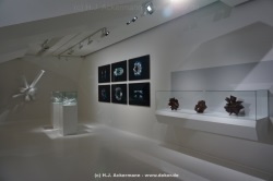 fotografie-201