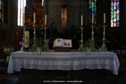 fotografie-57