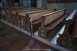 fotografie-35