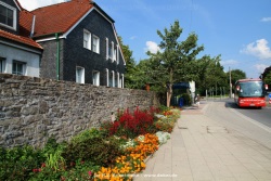 fotografie-1
