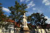 fotografie-6