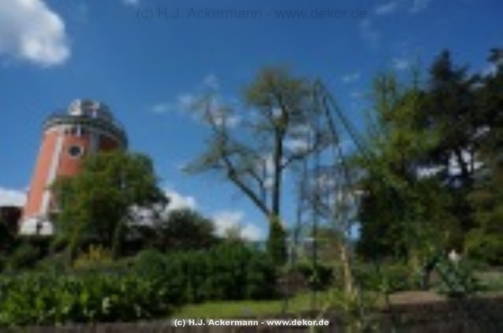 fotografie-13
