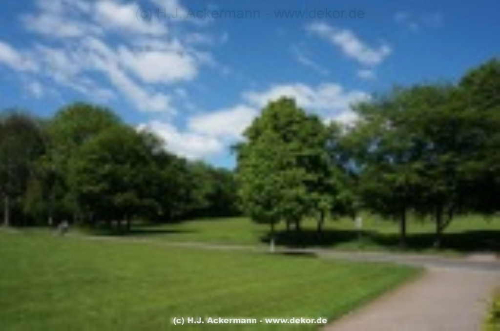 fotografie-15