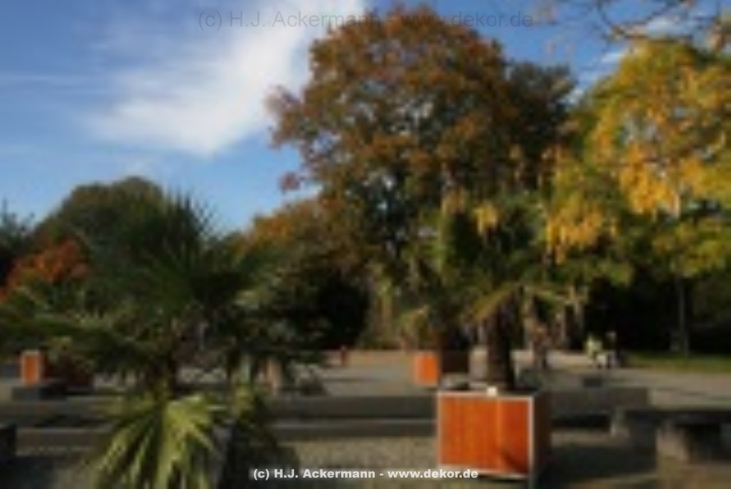 fotografie-16