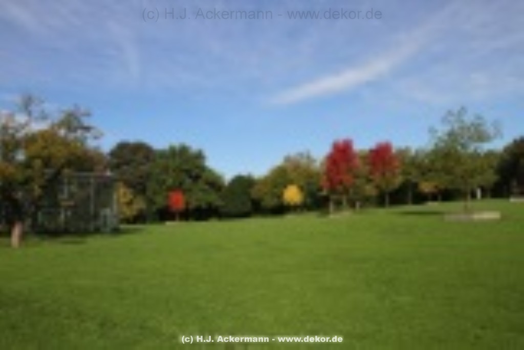 fotografie-17