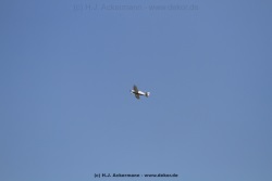 fotografie-112