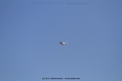 fotografie-162
