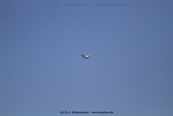 fotografie-77