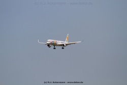 fotografie-19