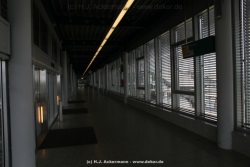 fotografie-52