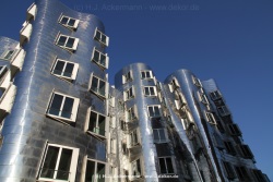 fotografie-16