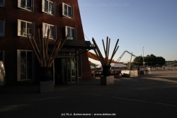 fotografie-19