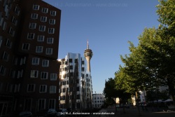 fotografie-33
