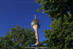 fotografie-12