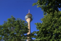 fotografie-13