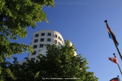 fotografie-19