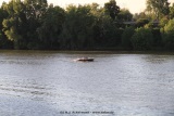 fotografie-48