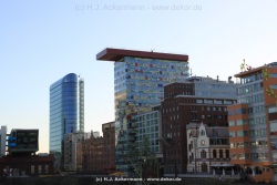 fotografie-65