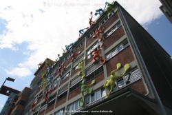 fotografie-58