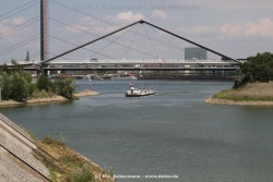 fotografie-63