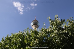 fotografie-10