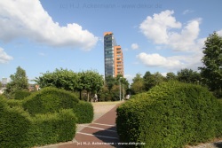 fotografie-12