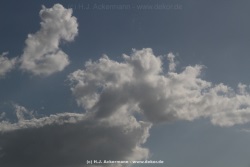 fotografie-31