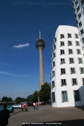 fotografie-9