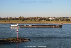 fotografie-10