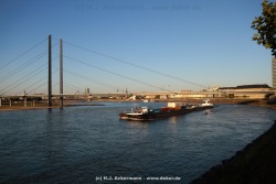 fotografie-25