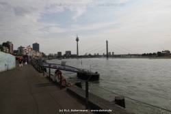 fotografie-31