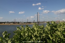 fotografie-39