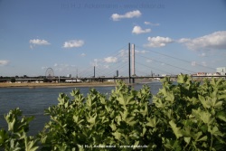 fotografie-40