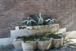 fotografie-63