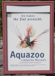 fotografie-70