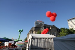 fotografie-14