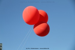 fotografie-16