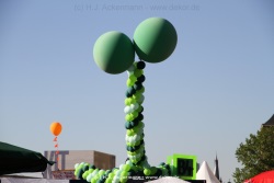 fotografie-17