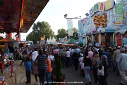 fotografie-41