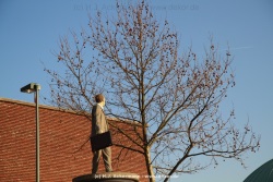 fotografie-13