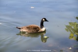 fotografie-1