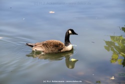 fotografie-1