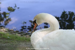 fotografie-22