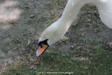 fotografie-42