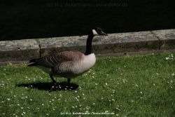 fotografie-51