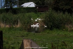 fotografie-1