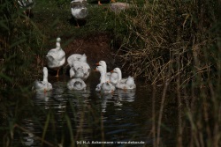 fotografie-2