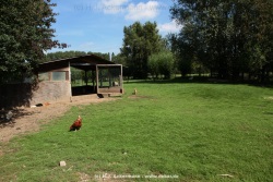 fotografie-26